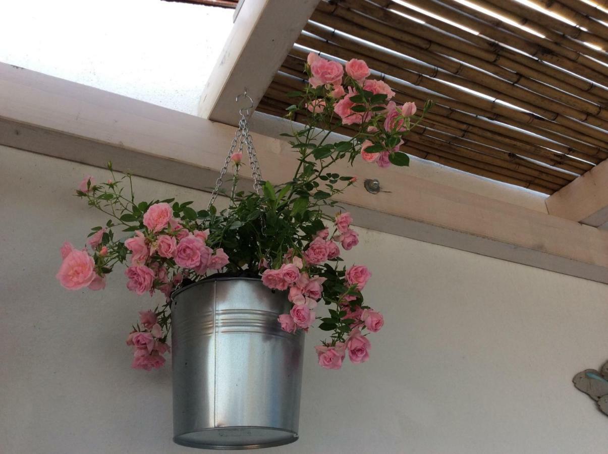 4 In Piazza Bed & Breakfast Sorso Ngoại thất bức ảnh